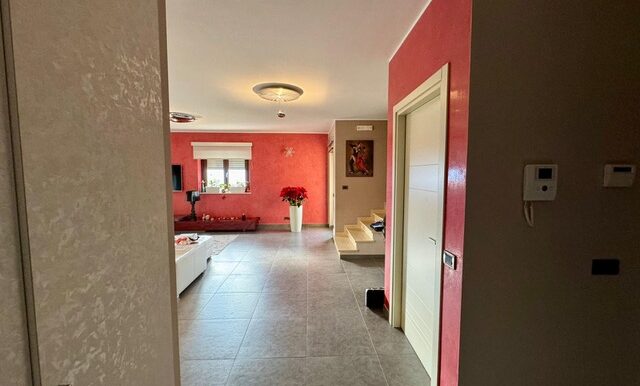 PHOTO-2026-02-05-18-05-30 6