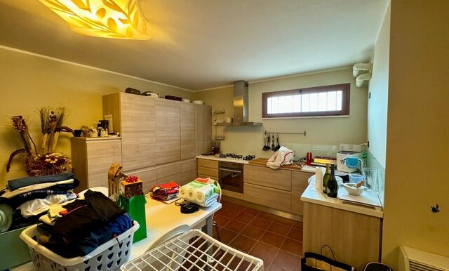 PHOTO-2026-02-05-18-05-46 2