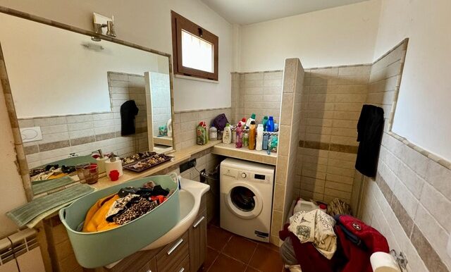 PHOTO-2026-02-05-18-05-46 3