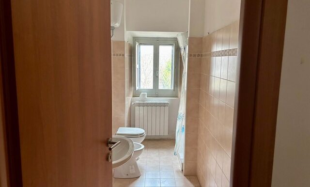 PHOTO-2026-02-05-18-07-57 12