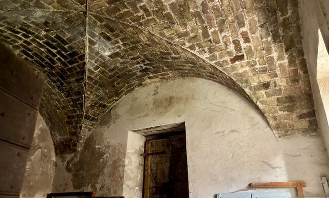 PHOTO-2026-02-05-18-07-57 7