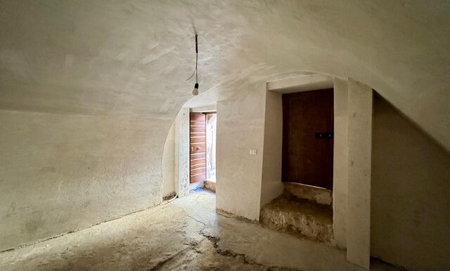 PHOTO-2026-02-05-18-08-07 3