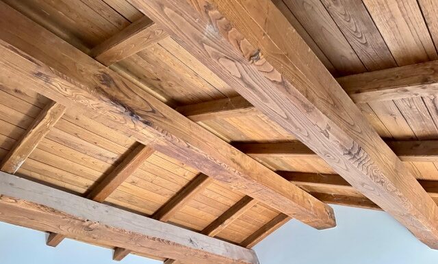 PHOTO-2026-02-05-18-08-08 11