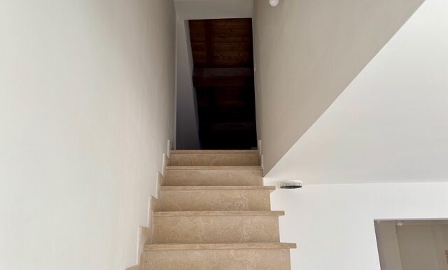 PHOTO-2026-02-05-18-08-08 7