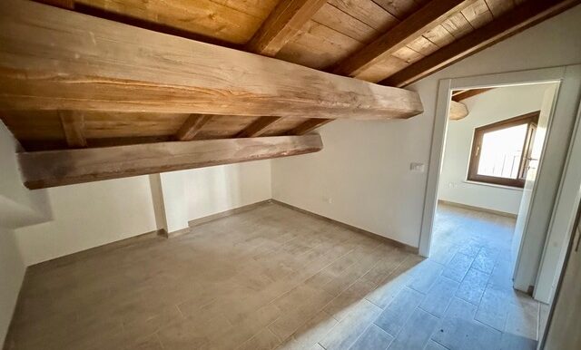 PHOTO-2026-02-05-18-08-08 8