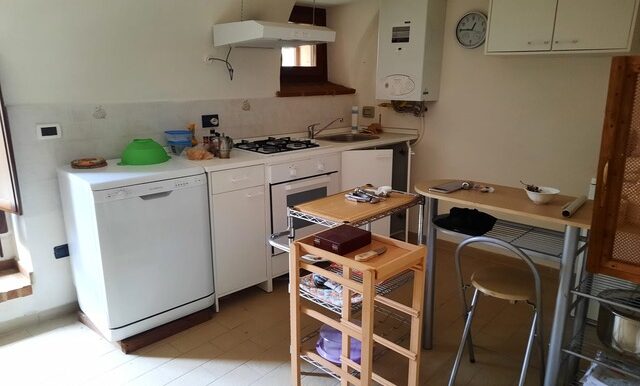 PHOTO-2026-02-10-11-58-38 4