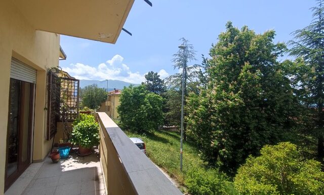 PHOTO-2023-05-26-13-07-55 2