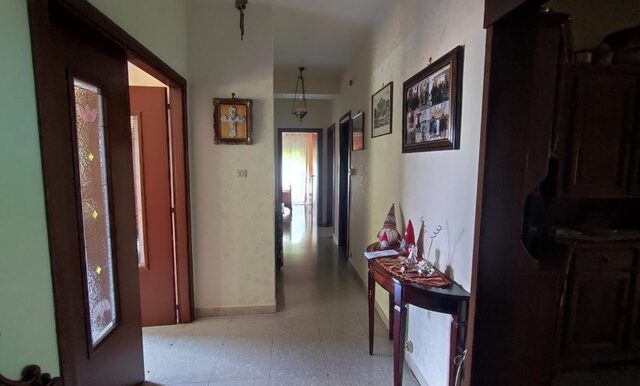 PHOTO-2023-05-26-13-07-56 5