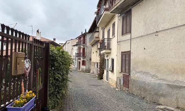 PHOTO-2026-03-11-18-15-53-3