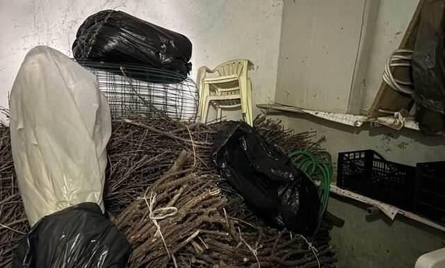 PHOTO-2026-03-11-18-15-54-9