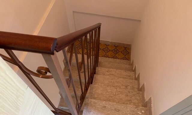 PHOTO-2026-03-11-18-15-55-1