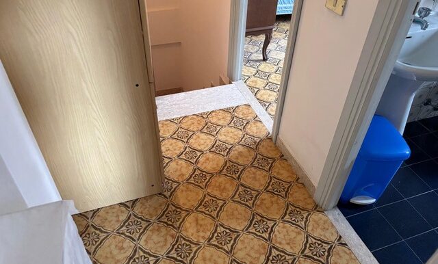 PHOTO-2026-03-11-18-15-55-6