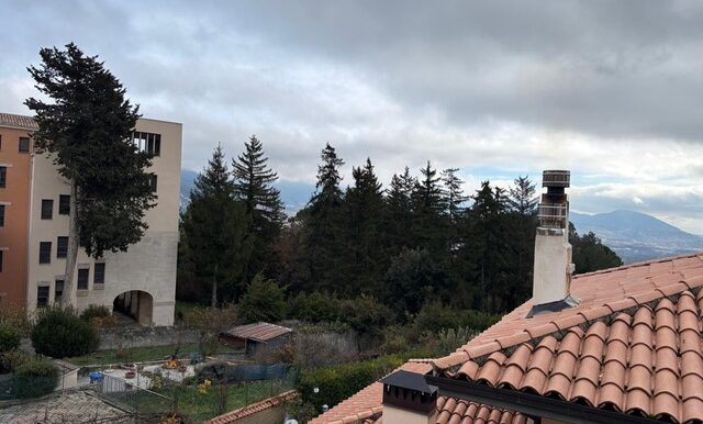 PHOTO-2026-03-11-18-15-55-8